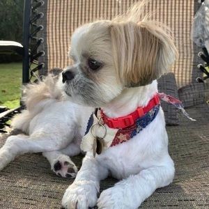 Meet your Posher, Kathy